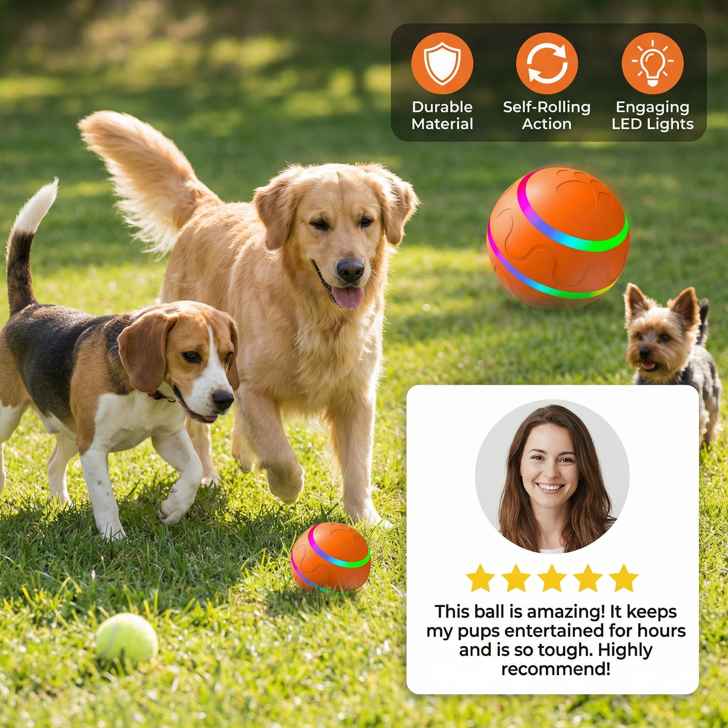Robust and durable self-rolling dog toy ball