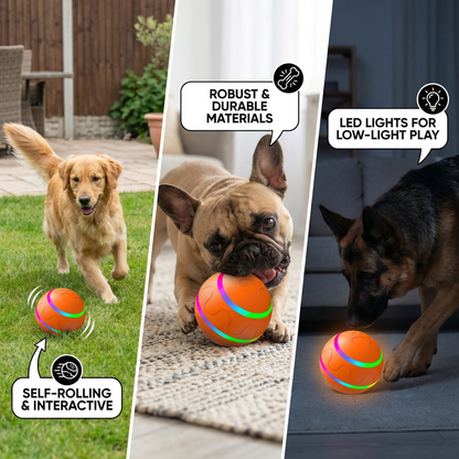 Robust and durable self-rolling dog toy ball