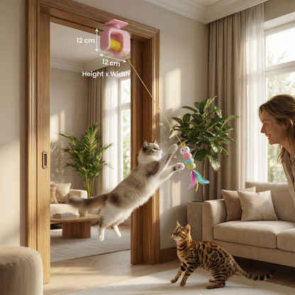 Interactive door yo-yo cat toy with self-play function