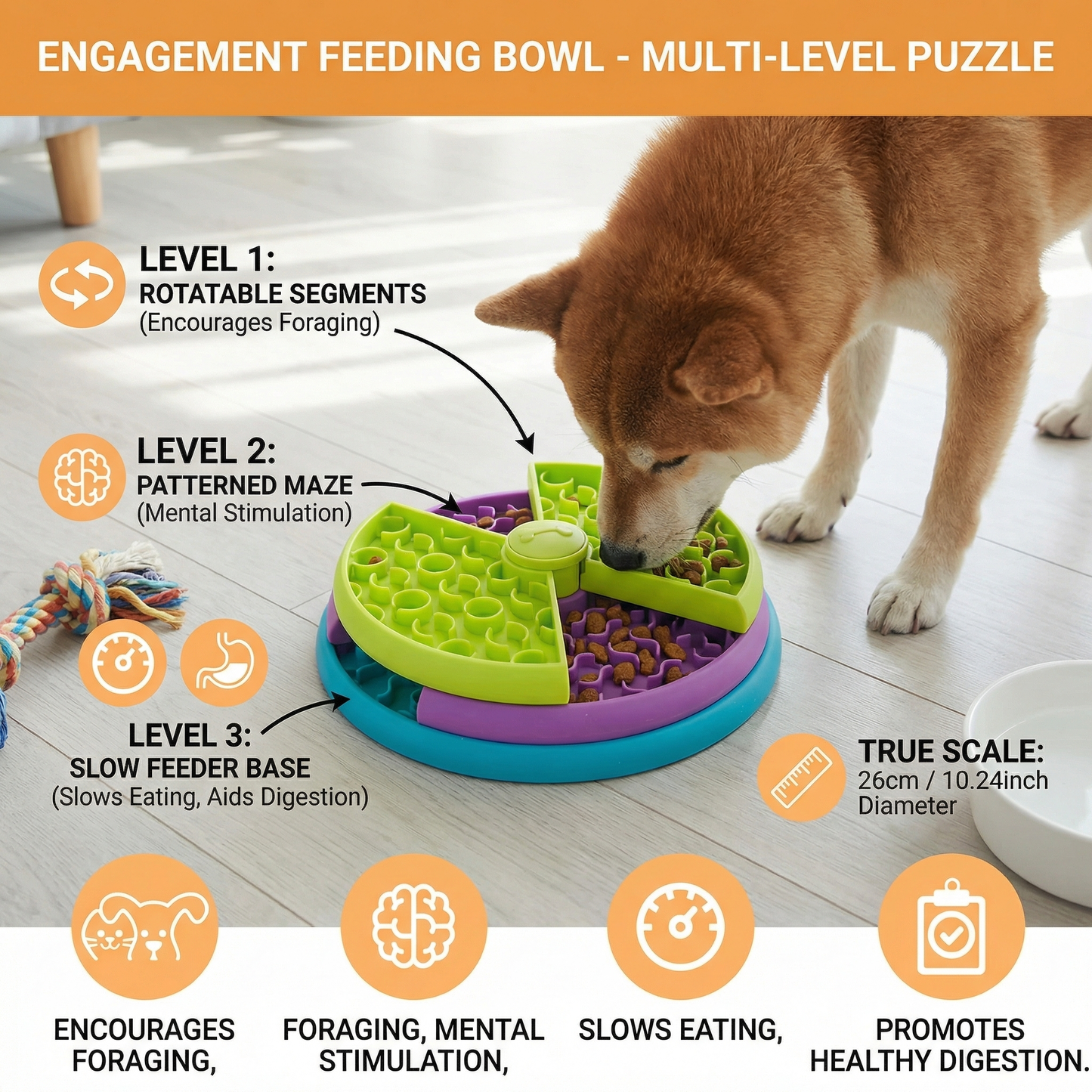 Engagement Feeding Bowl with Different Levels