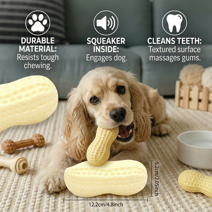 Durable squeaky peanut chew toy for dogs