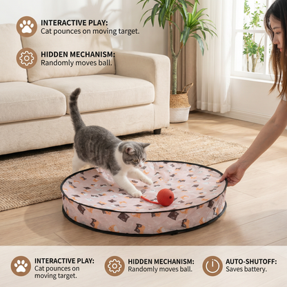 Interactive Hide and Seek Cat Toy