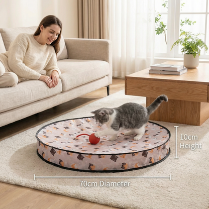 Interactive Hide and Seek Cat Toy