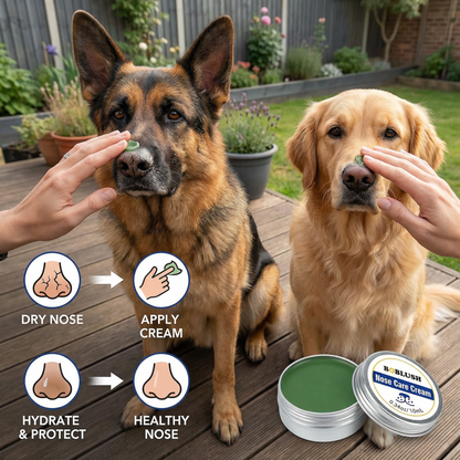 Care and protection cream for dog snouts