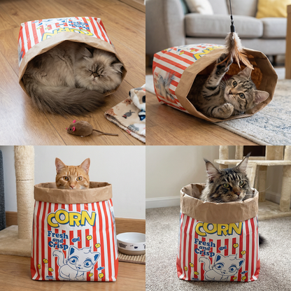 Cat Sleep & Play Cardboard Popcorn Bag