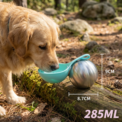 2-in-1 Dog Travel Water Bottle – Leakproof Stainless Steel Bottle with Silicone Bowl