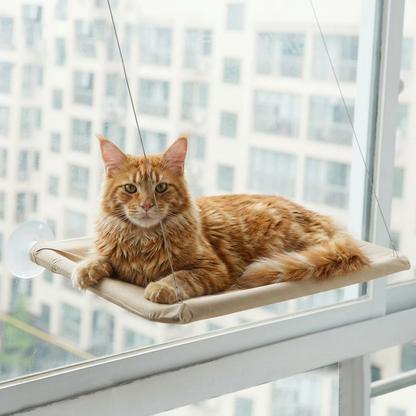 Cat Hammock