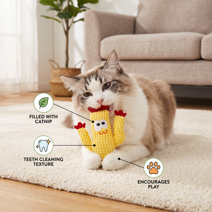 Catnip-Filled Cactus Teeth Cleaning Cat Toy